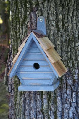 Heartwood Chick Bird House - Blueberry 075G