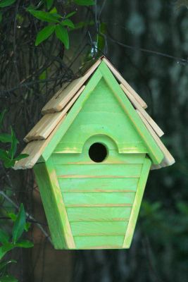 Heartwood Wren-in-the-wind Bird House - Green Apple 082I