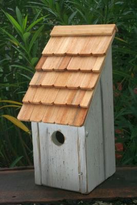 Heartwood Bluebird Bunkhouse  Bird House - White 192E