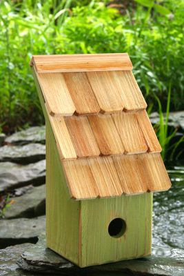 Heartwood Fruit Coops Bird House - Green Apple 193C