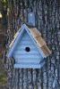 Heartwood Chick Bird House - Blueberry 075G