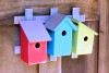 Heartwood Trellis Trio - Neon Trio Bird House 233A